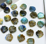 Load image into Gallery viewer, Natural Blue Flashy Labradorite Shell Shape Briolette's, Hand Carved Shell Shape Beads, Shell Shape Gemstone, 12 mm Shell Charms For Jewelry