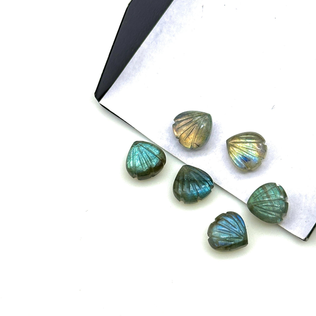 Cute Tiny Labradorite Shell Shape Beads, 8 MM Hand Carved Flashy Seashell, Tiny Carved Beads, Shell Charms, Jewelry & Craft Making Gemstones