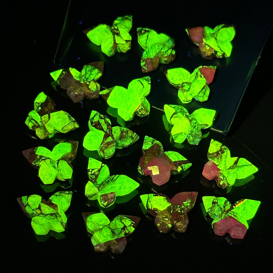 Neon UV Light Beads, Neon Green & Purple Copper Turquoise Butterfly Beads, Faceted Butterfly Gemstone, Neon Turquoise Carving Beads 14x10 MM