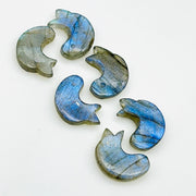 Natural Labradorite Dolphin Carving, Hand Carved Dolphin Shape Gemstone, 15 MM, Feminine Energy Fish Charm Healing Crystal, Carved Beads