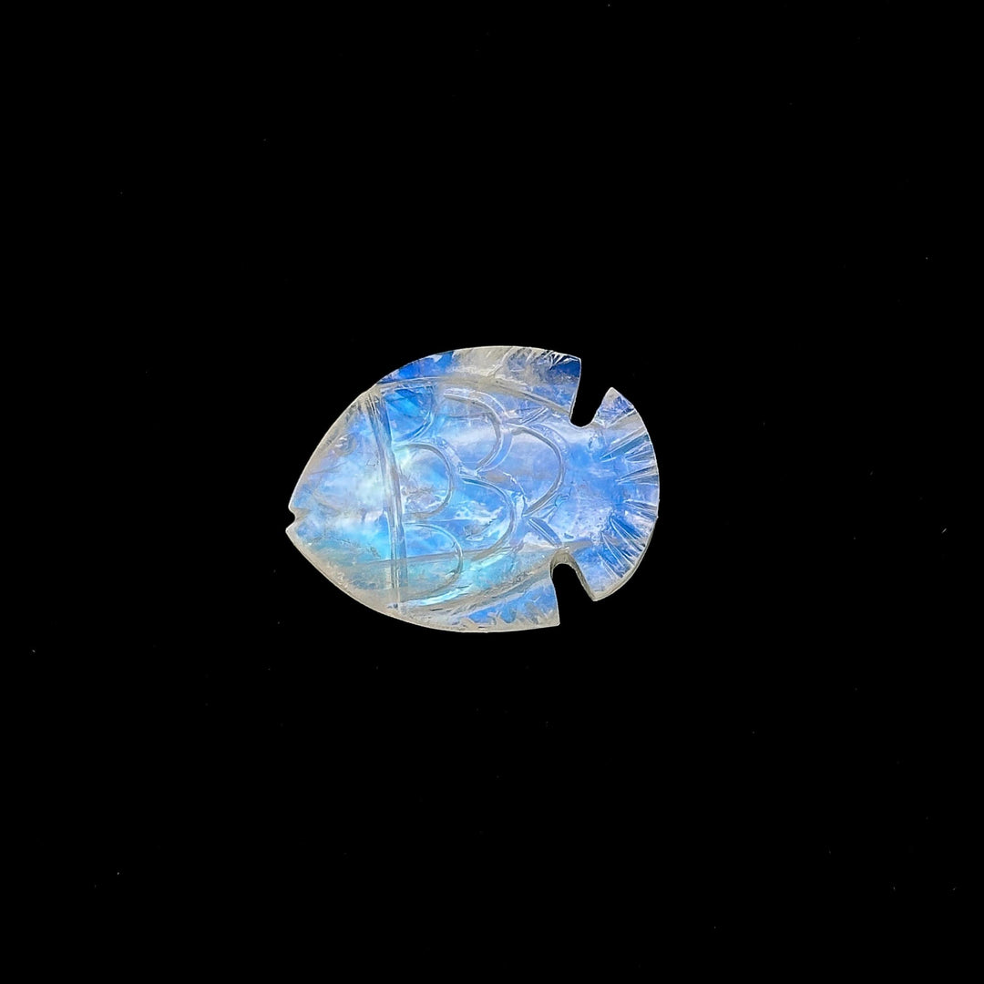 Hand Carved Rainbow Moonstone Fish Carving: Blue Flashy Briolette (22X28 MM)