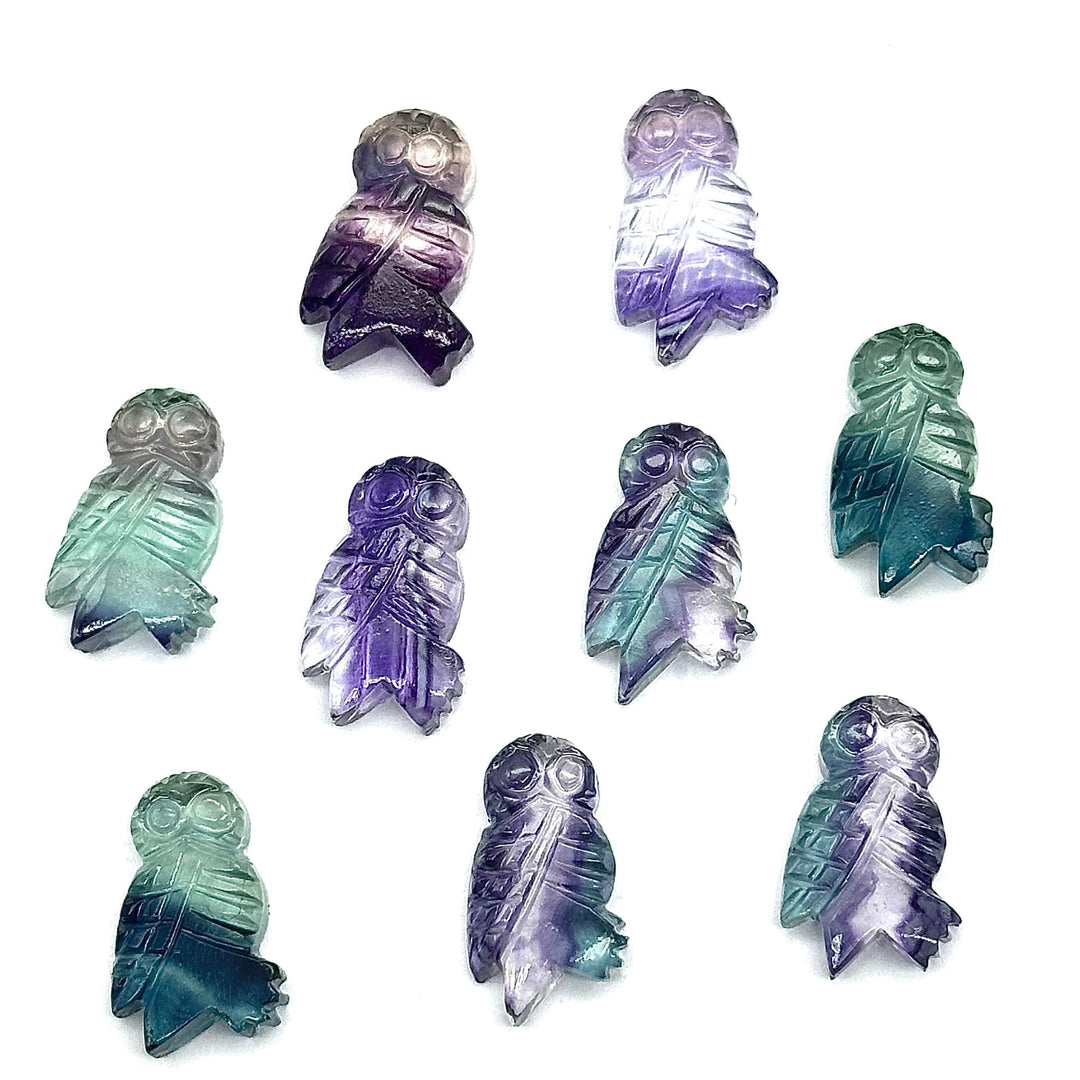 Carved Multi Fluorite Owl Shape Gemstones, Hand Carved Owl Shape Gemstone, Natural Fluorite Owl Shape Charms, 20 MM Bird Charm Carvings