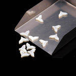 Load image into Gallery viewer, AAA Mother of Pearl Dolphin Tale Carving, White Pearl Dolphin Tale Shape Beads, Top Side Drill Fish Charms for Jewelry Making, 12 MM, 1 PC
