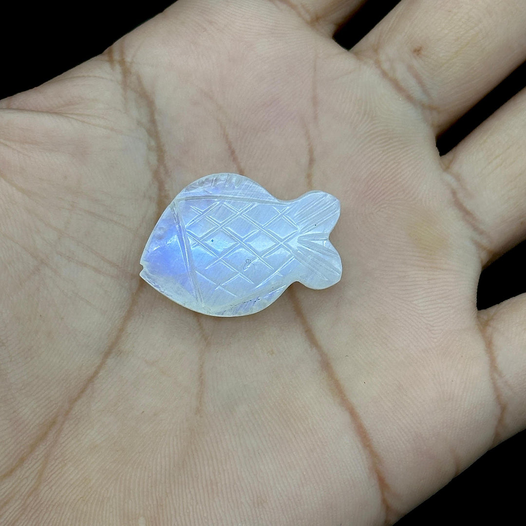 Carved Rainbow Moonstone Fish: Handmade Gemstone Bead (20x27mm