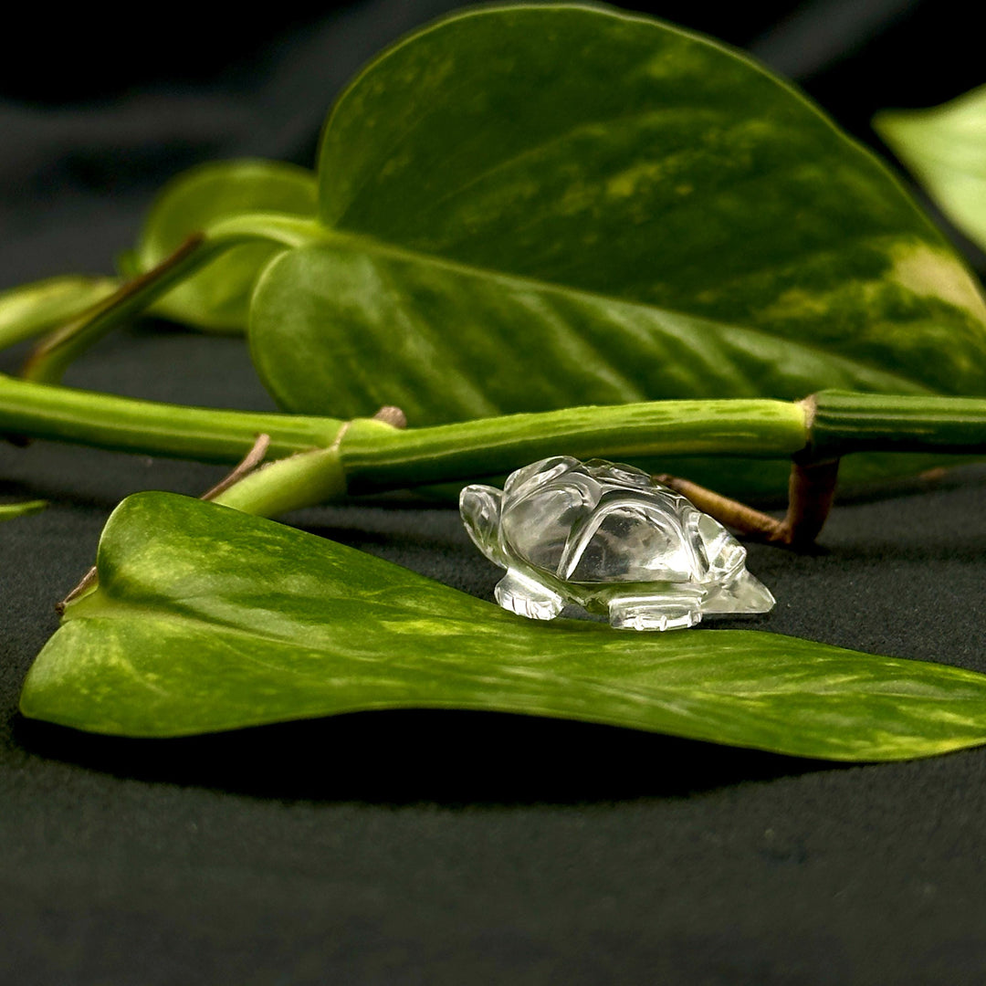 Natural Crytal Quartz Turtle Shape Gemstone Carving, 17X25 MM Minimalist Turtle Carving for Jewelry, Handmade Harmony Gemstone Beads Carving