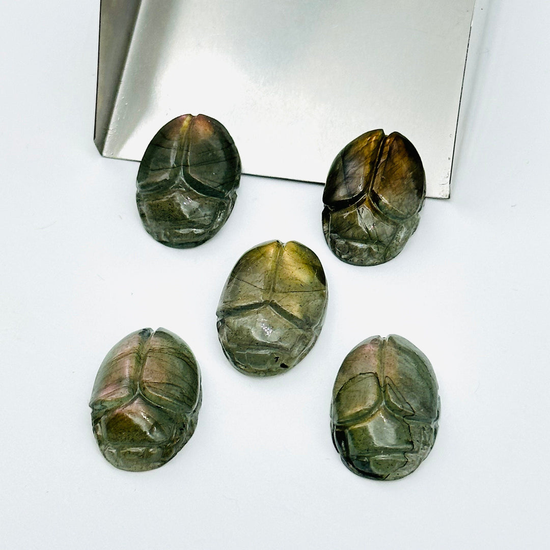 2,3,4,5,6 pcs Natural Labradorite Scarab Face Carved Gemstone, Fancy Shape Scarab Carving, Hand Carved loose Gemstone for Jewelry 16X12