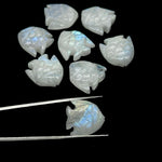 Load image into Gallery viewer, Natural Rainbow Moonstone Fish Shape Stones, AAA Moonstone Fish Hand Carved Beads, White Marine Fishes, Deep Sea Gemstone Fishes 16X17 MM