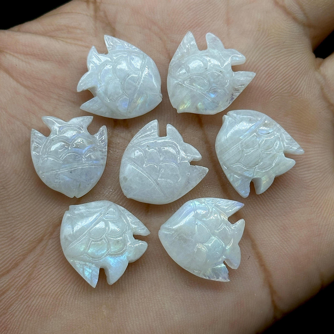 Natural Rainbow Moonstone Fish Shape Stones, AAA Moonstone Fish Hand Carved Beads, White Marine Fishes, Deep Sea Gemstone Fishes 16X17 MM