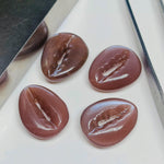 Load image into Gallery viewer, Natural Chocolate Moonstone Kaudi Shells Carving, Brown Moonstone Sea Shell Gemstone Beads, 20X16 mm Conch Shell Shape, Jewelry Making Charm