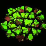 Load image into Gallery viewer, Neon UV Light Beads, Neon Green &amp; Purple Copper Turquoise Butterfly Beads, Faceted Butterfly Gemstone, Neon Turquoise Carving Beads 14x10 MM