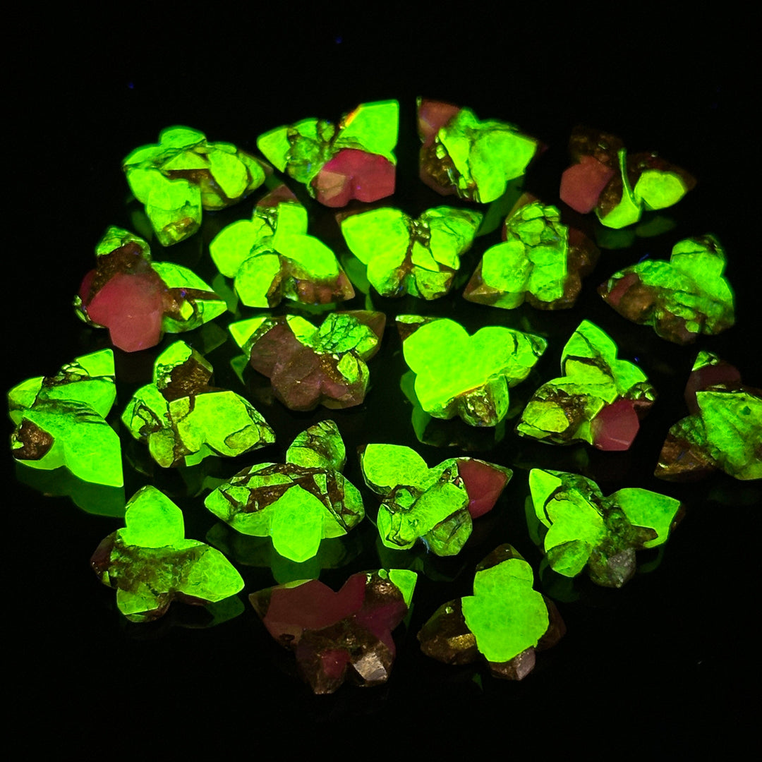 Neon UV Light Beads, Neon Green & Purple Copper Turquoise Butterfly Beads, Faceted Butterfly Gemstone, Neon Turquoise Carving Beads 14x10 MM
