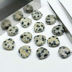 Load image into Gallery viewer, Natural Dalmatian Jasper Shell Shape Briolette's, Hand Carved Shell Shape Beads, Shell Shape Gemstone For Jewelry Making, 12 MM