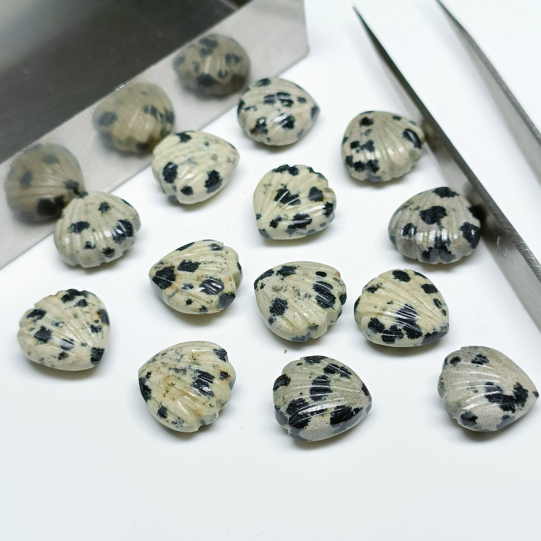 Natural Dalmatian Jasper Shell Shape Briolette's, Hand Carved Shell Shape Beads, Shell Shape Gemstone For Jewelry Making, 12 MM