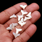 Load image into Gallery viewer, AAA Mother of Pearl Dolphin Tale Carving, White Pearl Dolphin Tale Shape Beads, Top Side Drill Fish Charms for Jewelry Making, 12 MM, 1 PC