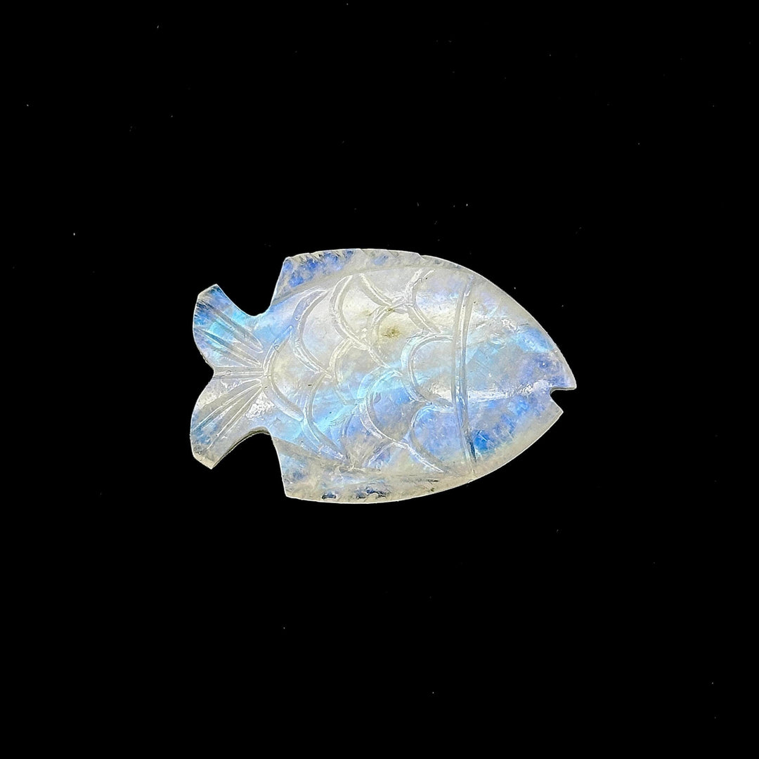 Carved Rainbow Moonstone Fish: Handmade Gemstone Briolette (22x33mm