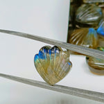 Load image into Gallery viewer, Natural Blue Flashy Labradorite Shell Shape Briolette's, Hand Carved Shell Shape Beads, Shell Shape Gemstone, 12 mm Shell Charms For Jewelry