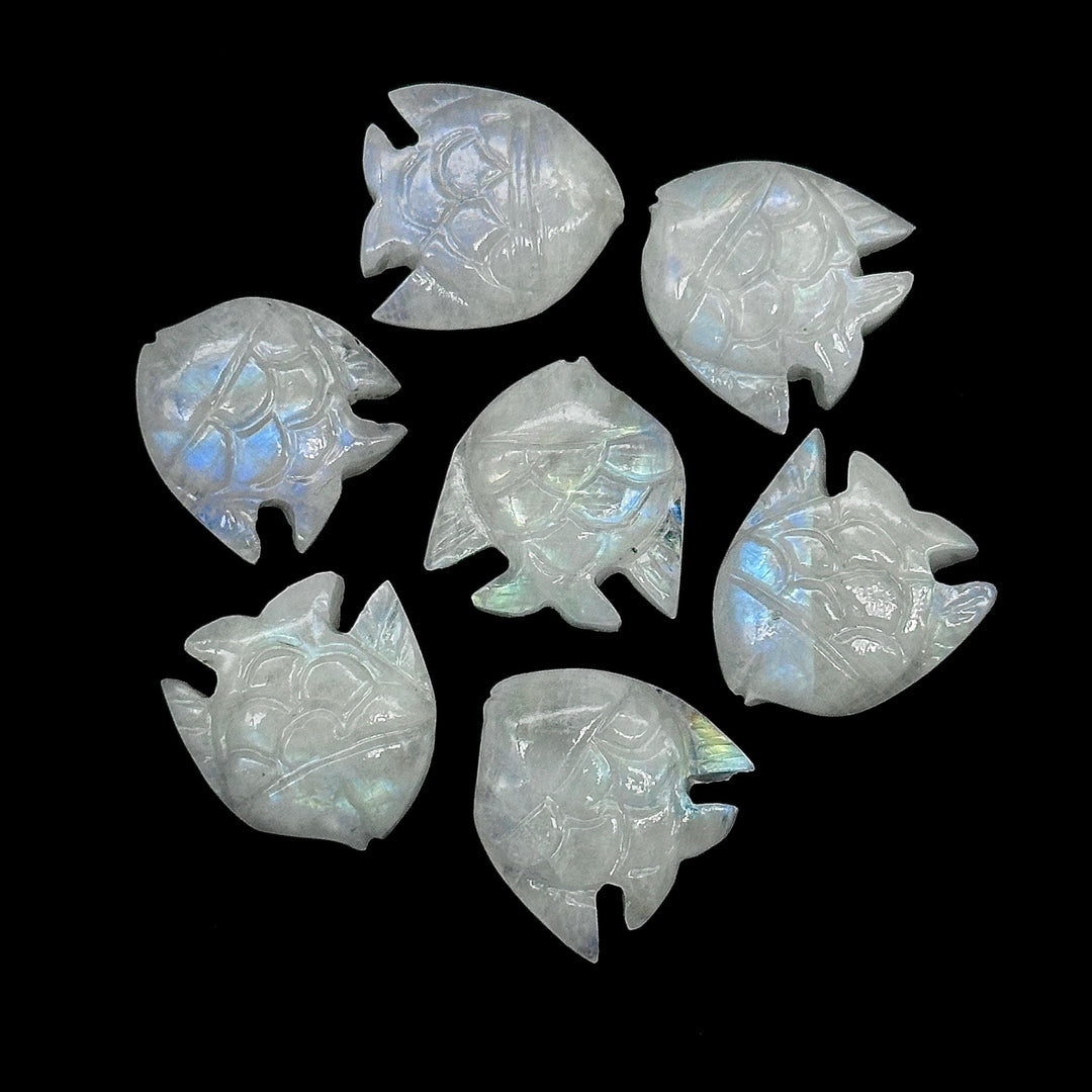 Natural Rainbow Moonstone Fish Shape Stones, AAA Moonstone Fish Hand Carved Beads, White Marine Fishes, Deep Sea Gemstone Fishes 16X17 MM
