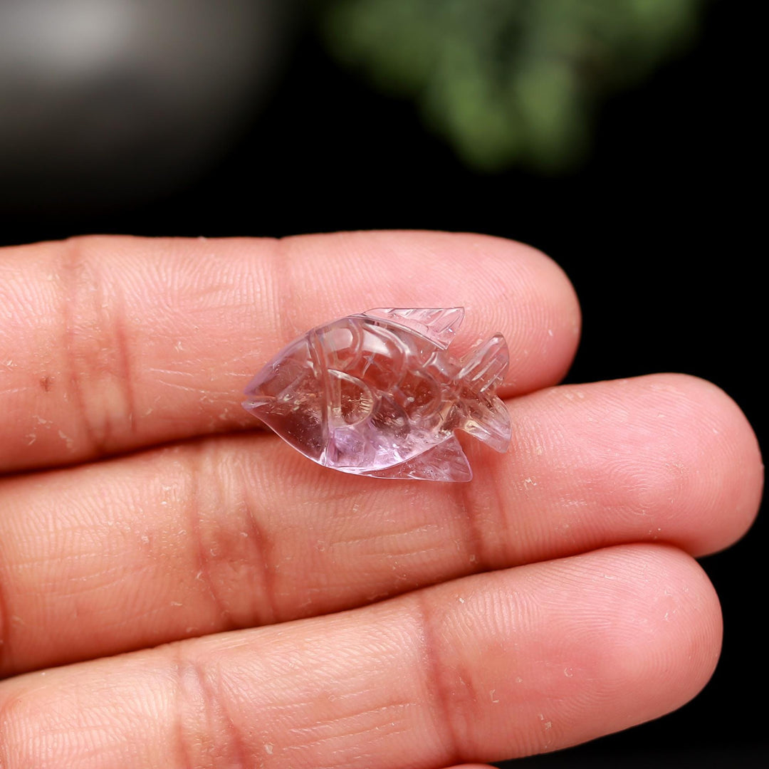 Natural Ametrine Fish Shape Beads, AAA Ametrine Carved Fish Shape Gemstone, Fish Shape Charm for Jewelry Making, 22 MM