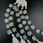 Load image into Gallery viewer, Natural Rainbow Moonstone Sea Shell Shape Gemstone, Flashy Rainbow Shell Beads For Jewelry Making, 12MM Carved Blue Fire Rainbow Moonstone