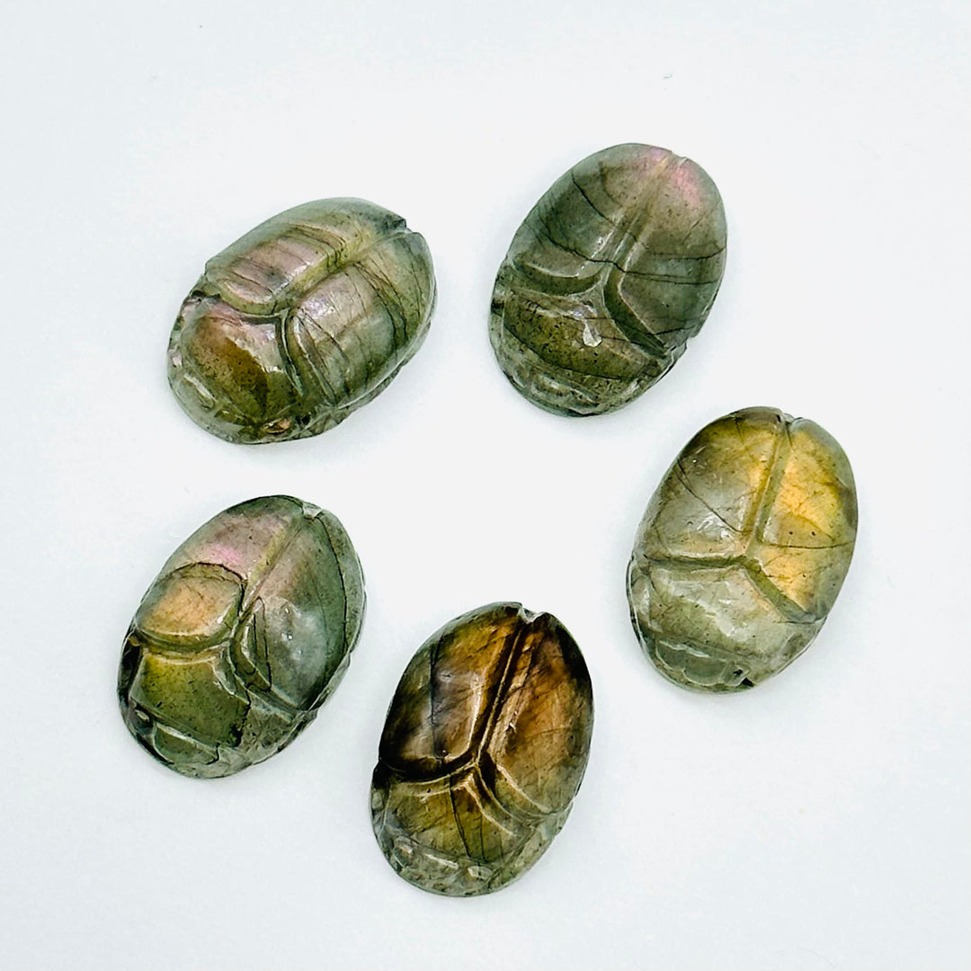 2,3,4,5,6 pcs Natural Labradorite Scarab Face Carved Gemstone, Fancy Shape Scarab Carving, Hand Carved loose Gemstone for Jewelry 16X12