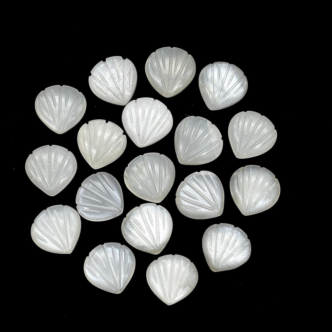 White Moonstone Shell Shape Beads, Natural Moonstone Shell Briolette's, Shell Carving Gemstones For Jewelry 12 mm, Sea Shell Beach Beads