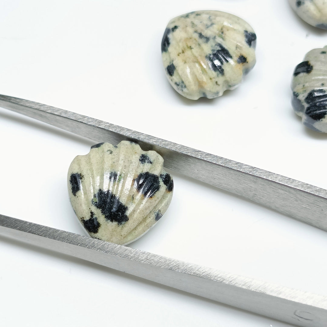 Natural Dalmatian Jasper Shell Shape Briolette's, Hand Carved Shell Shape Beads, Shell Shape Gemstone For Jewelry Making, 12 MM