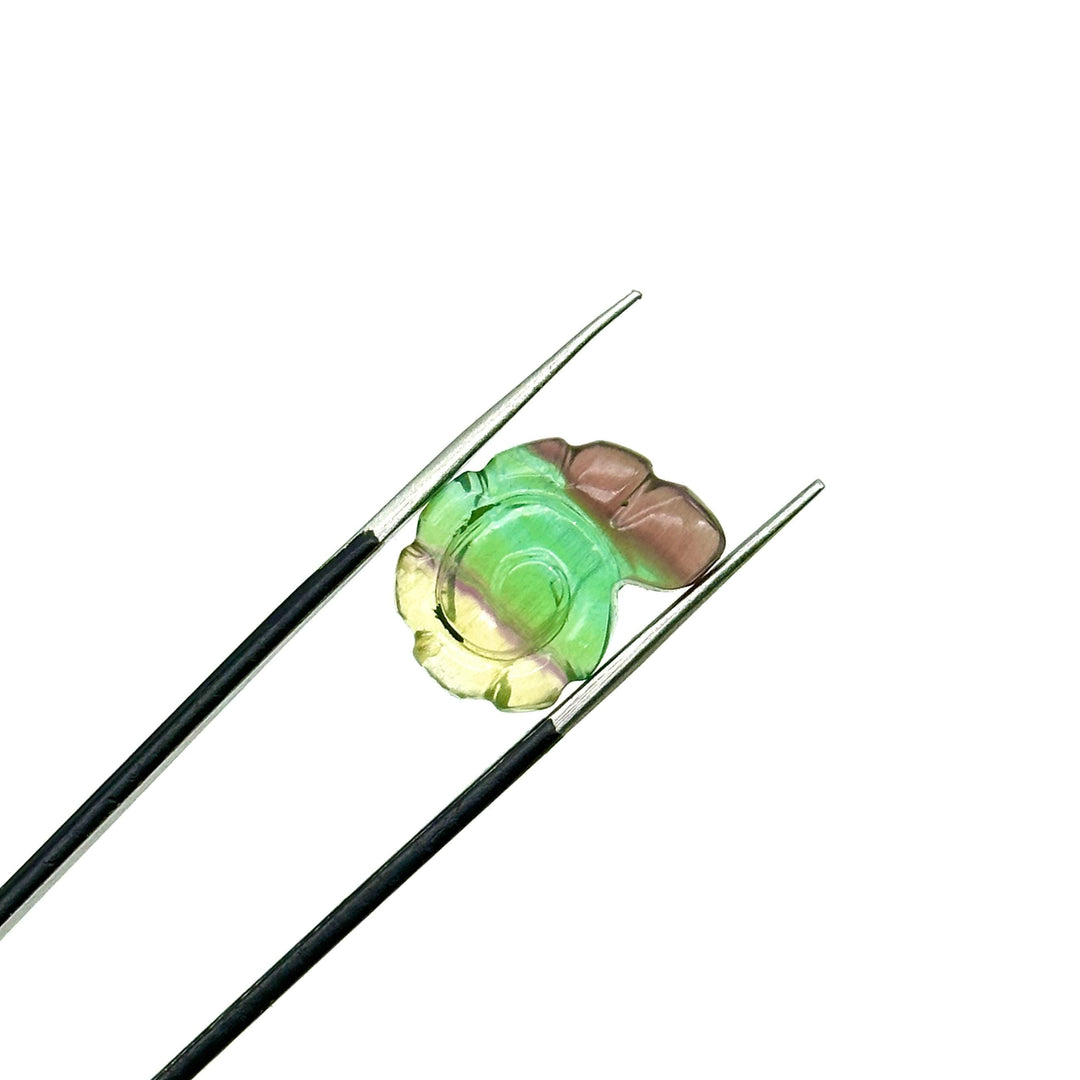 Natural Fluorite Carved Shell Beads, Hand Carved Snail Shell Shape Gemstone, Seashell Charm 16 MM Rainbow Fluorite Shells For Jewelry Making