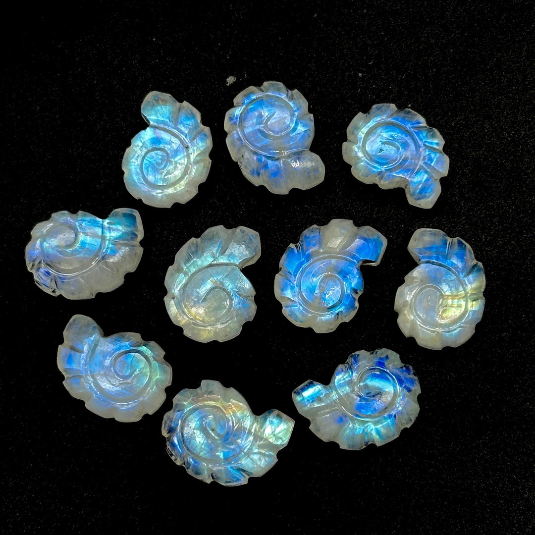 AAA+ Natural Rainbow Moonstone Carved Shell Beads, Hand Carved Snail Shell Shape Gemstone, 16 MM Flashy White Seashell Charms For Jewelry