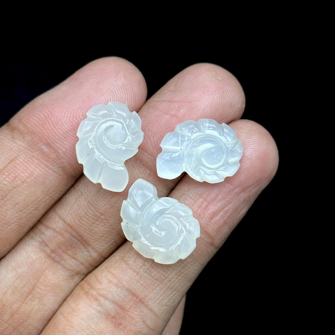 White Moonstone Carved Shell Beads: Snail Shape Gemstone Charm (16mm)