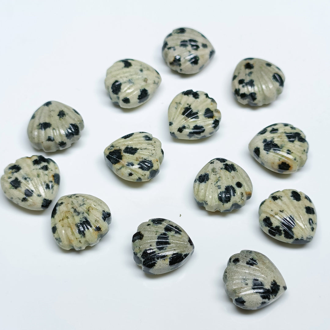 Natural Dalmatian Jasper Shell Shape Briolette's, Hand Carved Shell Shape Beads, Shell Shape Gemstone For Jewelry Making, 12 MM