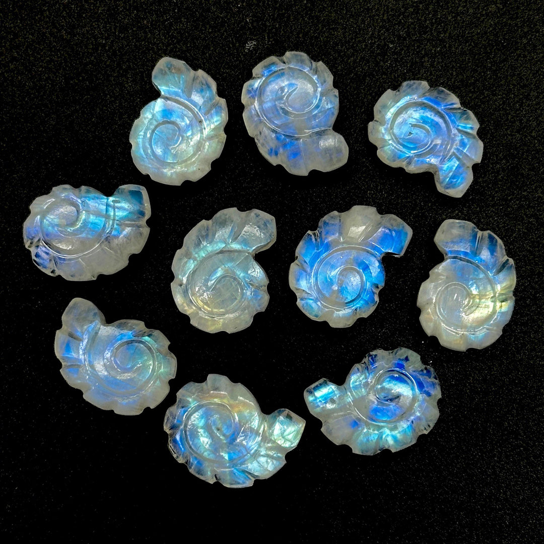 AAA+ Natural Rainbow Moonstone Carved Shell Beads, Hand Carved Snail Shell Shape Gemstone, 16 MM Flashy White Seashell Charms For Jewelry