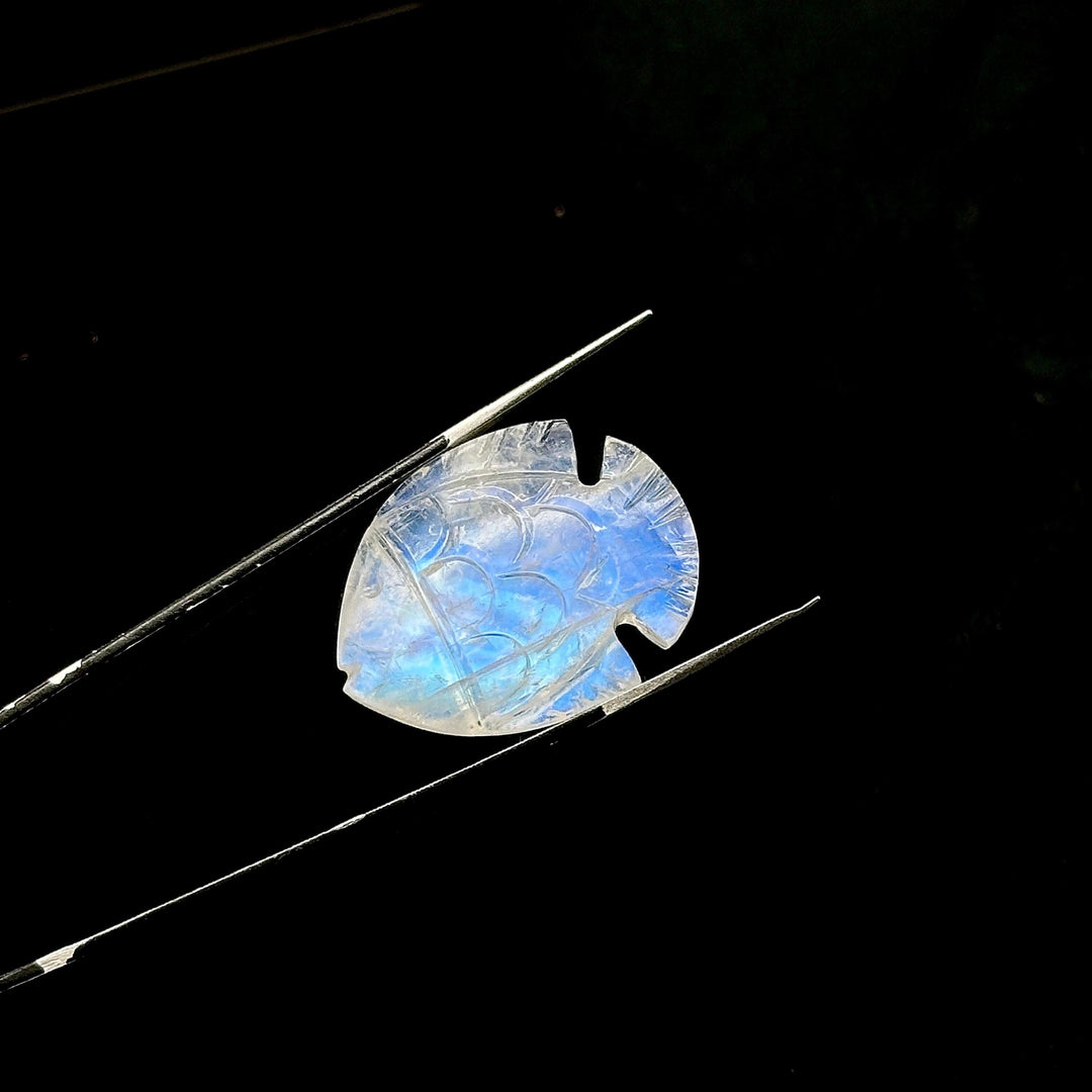 Hand Carved Rainbow Moonstone Fish Carving: Blue Flashy Briolette (22X28 MM)