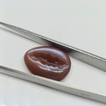 Load image into Gallery viewer, Natural Chocolate Moonstone Kaudi Shells Carving, Brown Moonstone Sea Shell Gemstone Beads, 20X16 mm Conch Shell Shape, Jewelry Making Charm