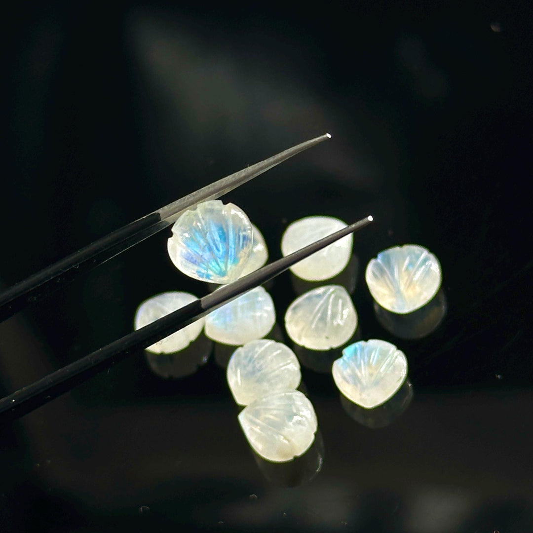 AAA+ Quality Rainbow Moonstone Shell Shape Beads, 8 MM Hand Carved Flashy Seashells, Carved Beads, Shell Charms, Jewelry and Craft Making