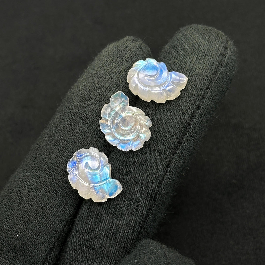 AAA+ Natural Rainbow Moonstone Carved Shell Beads, Hand Carved Snail Shell Shape Gemstone, 16 MM Flashy White Seashell Charms For Jewelry