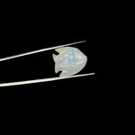 Load image into Gallery viewer, Natural Rainbow Moonstone Fish Shape Stones, AAA Moonstone Fish Hand Carved Beads, White Marine Fishes, Deep Sea Gemstone Fishes 16X17 MM