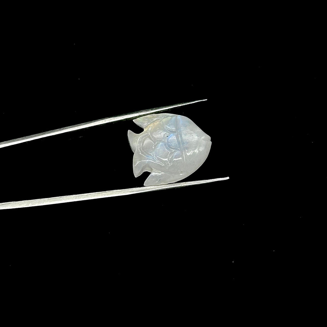 Natural Rainbow Moonstone Fish Shape Stones, AAA Moonstone Fish Hand Carved Beads, White Marine Fishes, Deep Sea Gemstone Fishes 16X17 MM