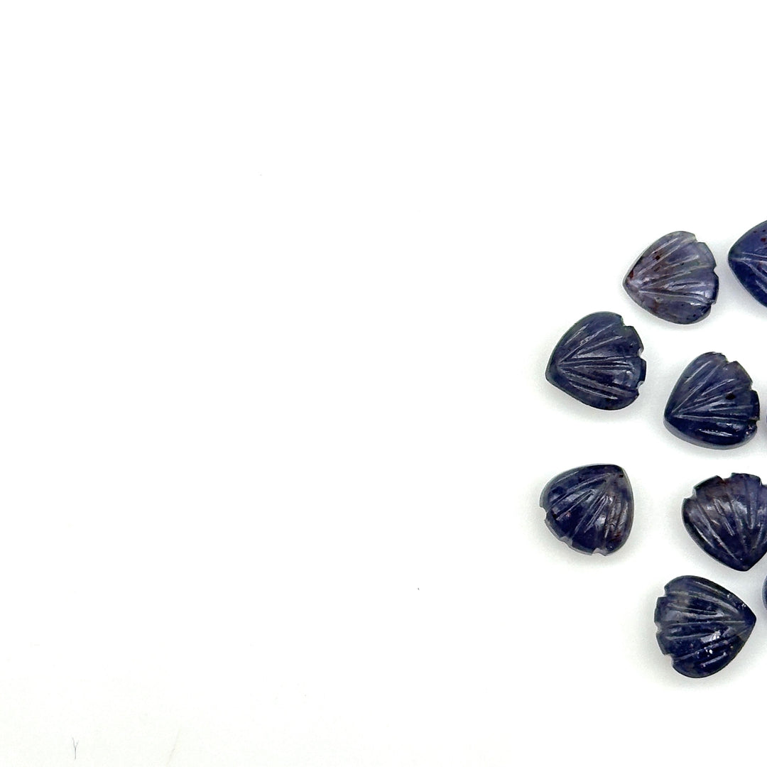 AAA+ Natural Iolite Shell Shape Beads, 8 MM Hand Carved Seashells, Tiny Carved Beads, Shell Charms, Jewelry and Craft Making