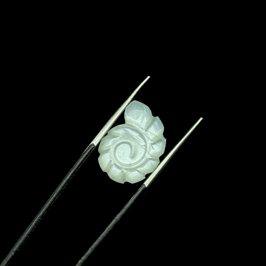 White Moonstone Carved Shell Beads: Snail Shape Gemstone Charm (16mm)