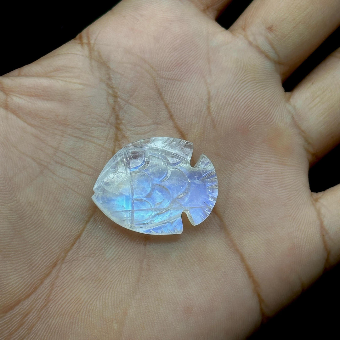 Hand Carved Rainbow Moonstone Fish Carving: Blue Flashy Briolette (22X28 MM)