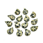 Load image into Gallery viewer, AAA Dalmatian Jasper Leaf Shape Beads, Jasper Leaf Shape Briolette's, Faceted Fancy Carvings for Jewelry, 11X15 MM, Wholesale Gemstones