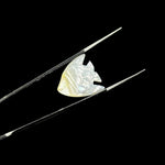 Load image into Gallery viewer, Hand Carved Mother of Pearl Fish Beads: AAA Gemstone (16X17 MM)