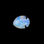 Load image into Gallery viewer, Hand Carved Rainbow Moonstone Fish Carving: Blue Flashy Briolette (22X28 MM)