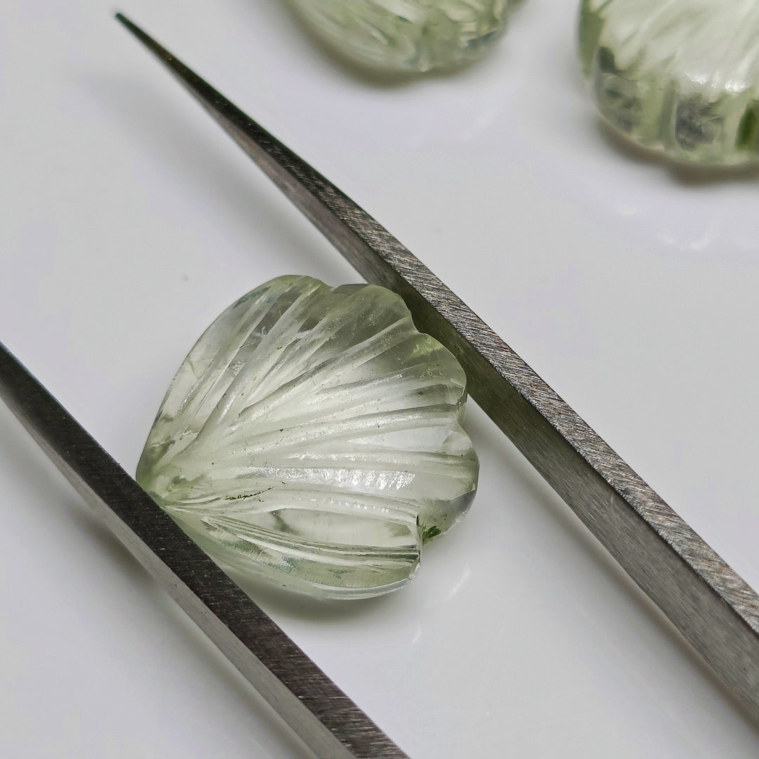 Natural Green Amethyst Shell Shape Briolette's Beads, Hand Carved Shell Charm Beads, 12 MM Shell Shape Carved Beads, Green Amethyst Shells