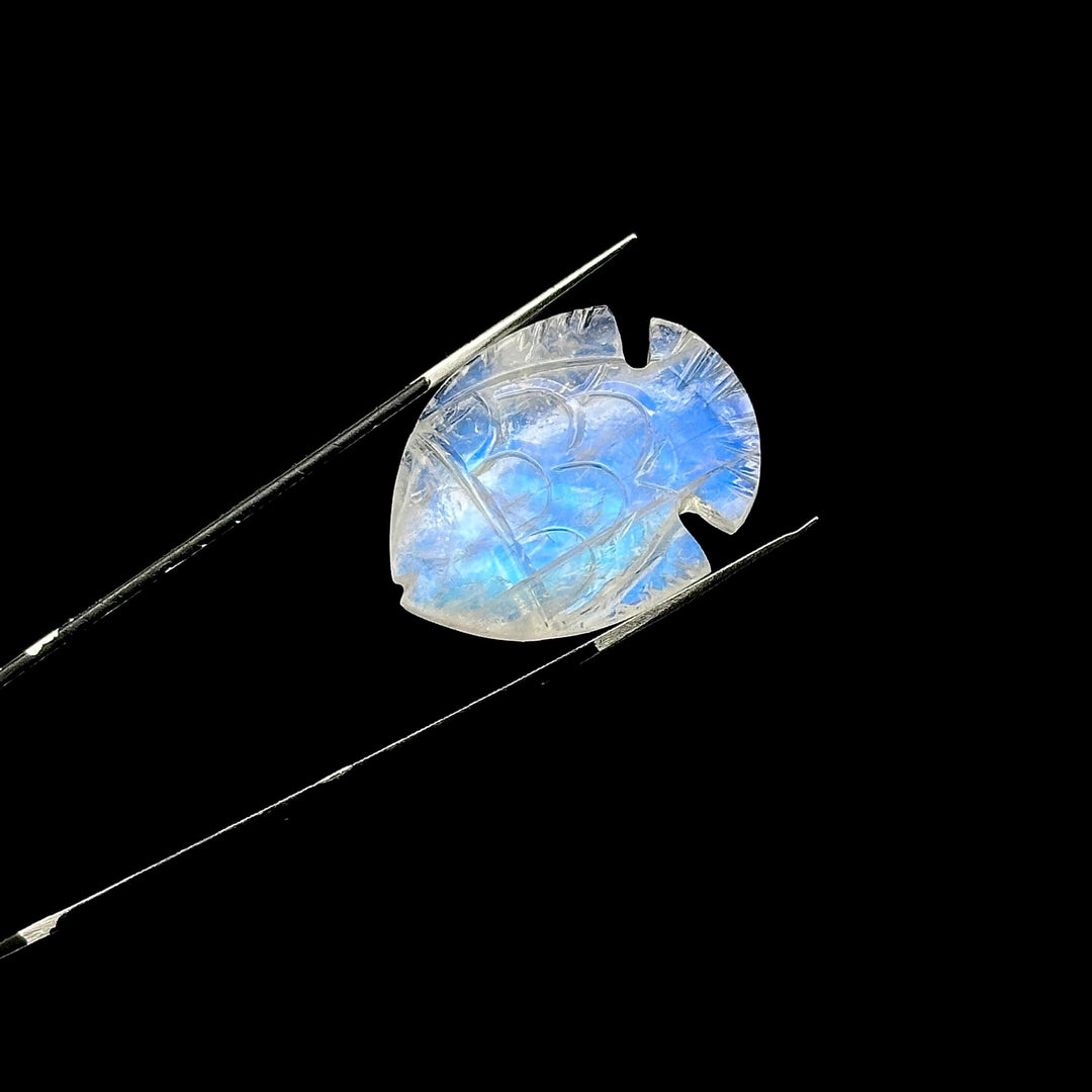 Hand Carved Rainbow Moonstone Fish Carving: Blue Flashy Briolette (22X28 MM)