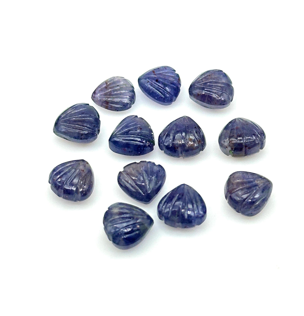 AAA+ Natural Iolite Shell Shape Beads, 8 MM Hand Carved Seashells, Tiny Carved Beads, Shell Charms, Jewelry and Craft Making