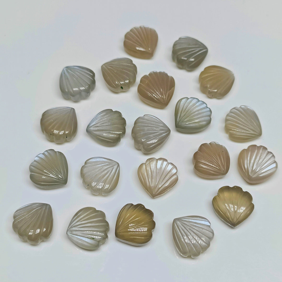 Natural Grey Moonstone Sea Shell Shape Beads, Hand Carved Shell Briolette's, Shell Carving Gemstones For Jewelry 12 mm, Shell Charms Beads