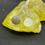 Dainty Natural White & Grey Moonstone Sea Shell Gemstone Necklace, 16
