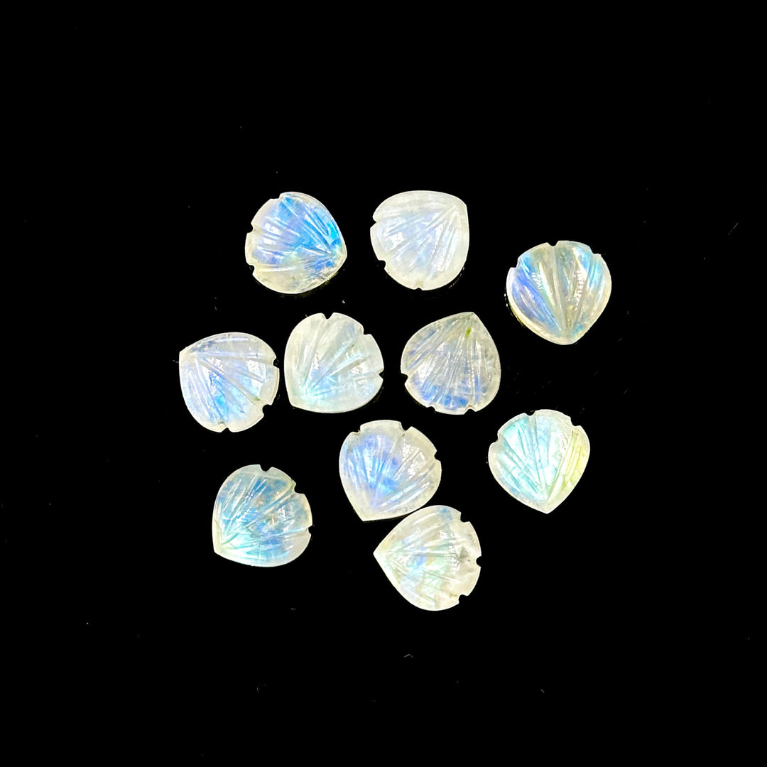 AAA+ Quality Rainbow Moonstone Shell Shape Beads, 8 MM Hand Carved Flashy Seashells, Carved Beads, Shell Charms, Jewelry and Craft Making