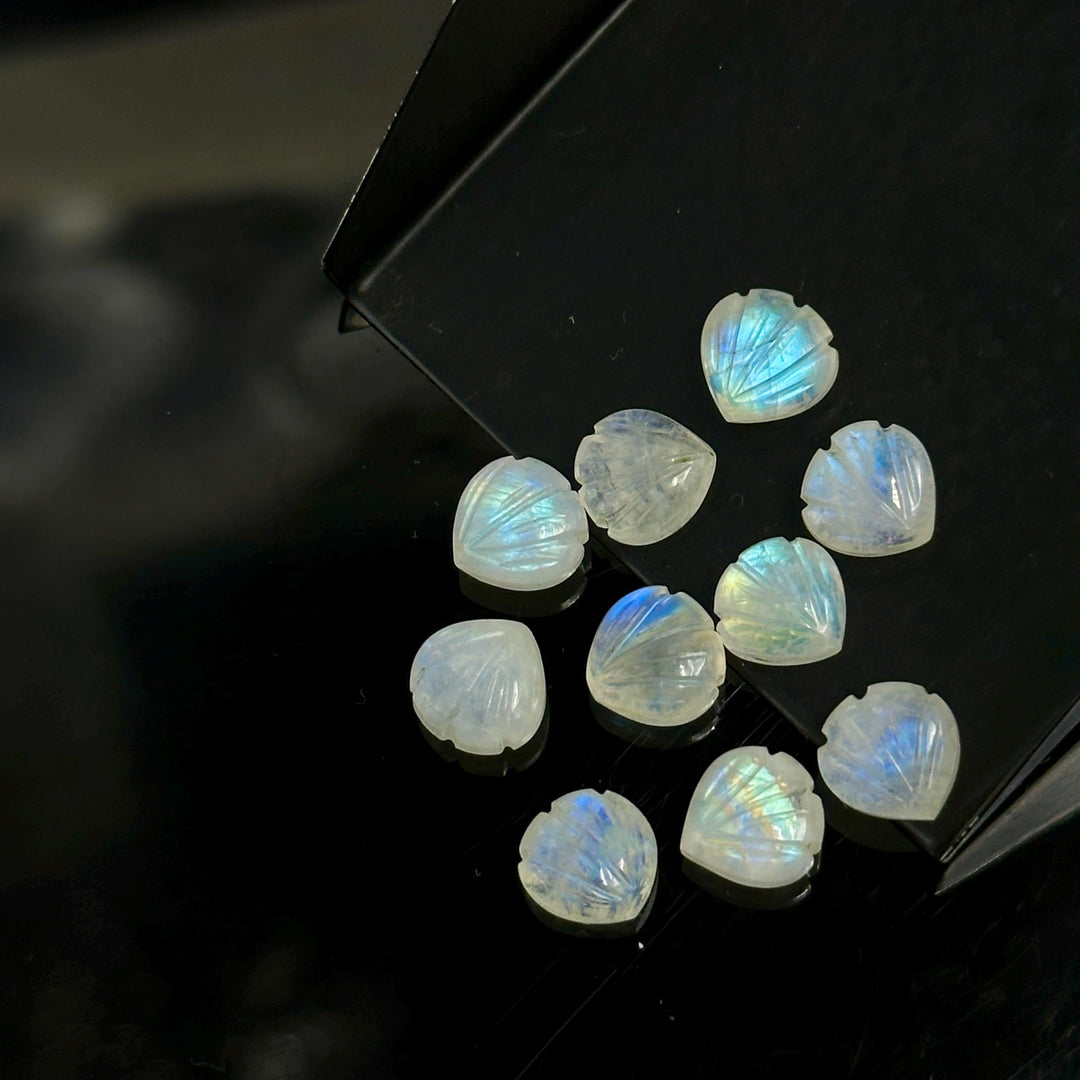 AAA+ Quality Rainbow Moonstone Shell Shape Beads, 8 MM Hand Carved Flashy Seashells, Carved Beads, Shell Charms, Jewelry and Craft Making